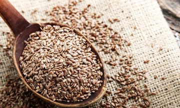 Keten Tohumu İshal Yapar mı? ve İshale İyi Gelir mi?